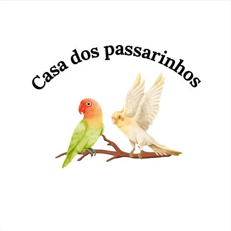 Casa Dos Passarinho'S , ลากอส ภายนอก รูปภาพ