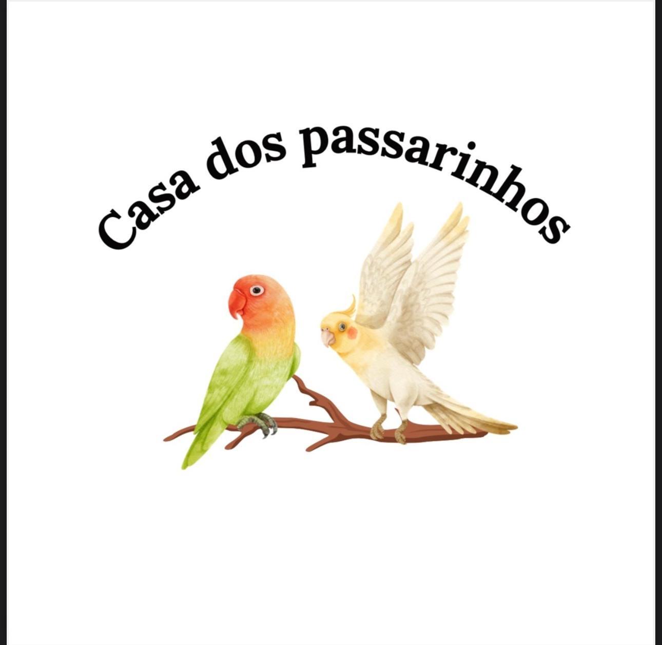 Casa Dos Passarinho'S , ลากอส ภายนอก รูปภาพ